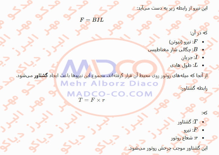 Squirrel Cage Induction Motor (B)